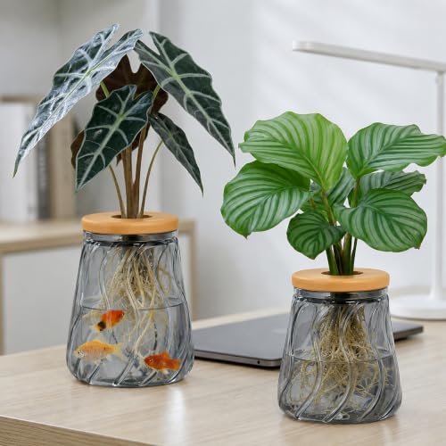 Desktop Clear Hydroponic Plant Vase, Transparent Water Plant Jars with Lid, Plants Container for Desk, Indoor, Home, Office Decor and Outdoor for Gardening Gifts to Plants Lovers, Wave Black - color: Black Wave-bell