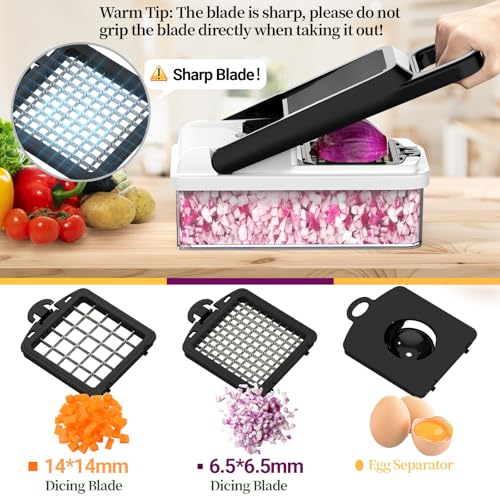 15-in-1 Vegetable Chopper 10 Blades, Veggie Cutter with Handle, Black/White | Stainless Steel Blades, Food Container and Lid, Dicer, Slicer, Julienne, Egg Separator, Non-slip Base, Include Cleaning Tools - color: Black, size: 10 blades