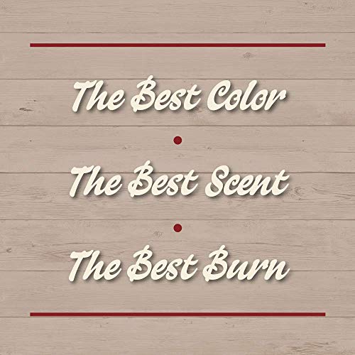 Our Own Candle Company Spring Mini Mason Jar Candles, 4 Pack, 3.5 oz Each | Coconut Banana, Himalayan Sea Salt, Lilac & Strawberry Melon scents; soy blend wax; up to 30 hours each; made in USA
