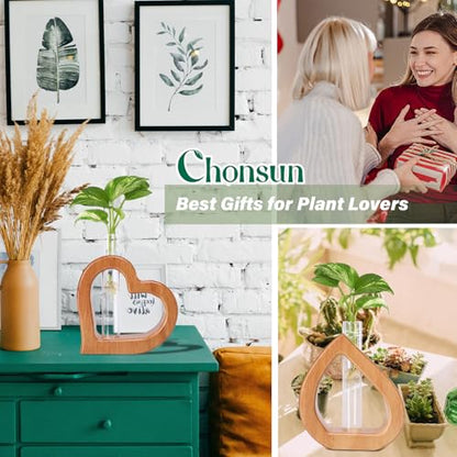 Plant Propagation Stations 2 PCS Wall Hanging Planters | Wall hanging Glass Tubes Terrarium Plants for Indoor Plant Rooting Gardening Gift for Plant Lovers - size: 5.3IN