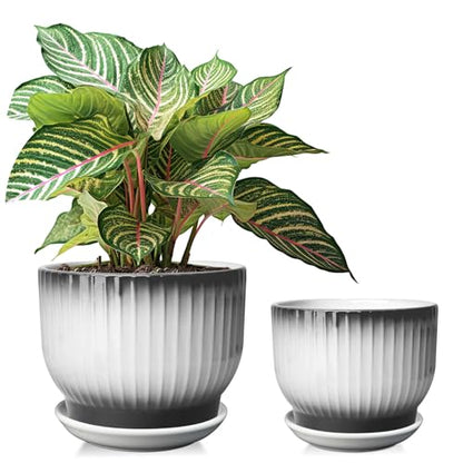 6.7 + 5.5 Inch Ceramic Plant Pots,Set of 2,Planters with Drainage and Saucer,Indoor Pots for Plants,Modern Flower Pots for Home and Office（Black + White） - color: Black + White