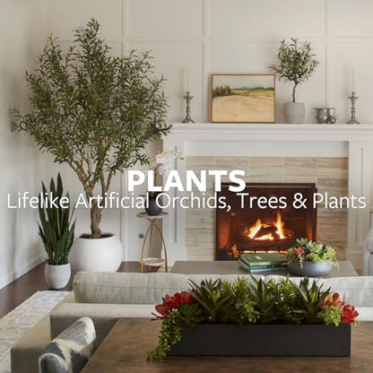 Round Faux Succulent Arrangement, 12" Premium Artificial Indoor Plant Enhances Interior Design, Display on any Surface in Your Home Adding an Inviting Touch of Nature, White Planter Pot Included - size: 12" Round White