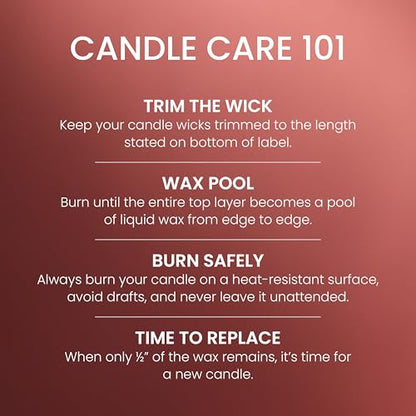 Yankee Candle Large Tumbler Scented Candle with up to 80 Hour Burn Time, Premium Plant Wax Blend for Consistent Burn, 20 oz Tumbler Candle with Room Filling Fragrance, Sparkling Cinnamon - color: Sparkling Cinnamon, size: 20oz