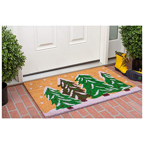 Calloway Mills 122252448 Winter Wonderland Doormat, 24" x 48", Multicolor - size: 2' x 4' (Rectangular)