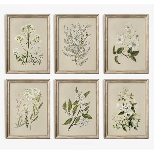 Vintage Botanical Wall Art Set of 6 Neutral Floral Canvas Wall Decor Wildflower Wall Art Watercolor Flower Prints Botanical Poster Minimalist Plant Pictures for Bedroom Living Room 12x16 Inch Unframed - color: Neutral Floral Prints, size: 12x16 Inch Unfra