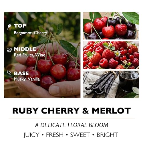 HomeLights Scented Candles - Large Jar Aromatherapy, Natural Soy Wax, 130 Hour Long Burning, Ruby Cherry & Merlot - color: Ruby Cherry & Merlot