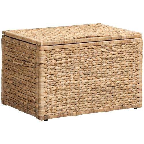 Storage Trunk with Metal Frame, Natural, 23.3 by 16.5 by 15.2 Inches | Safety Hinge, Heavy-duty Wicker Chest, Handwoven Water Hyacinth - color: Natural (Hyacinth), size: 23.3" x 16.5"