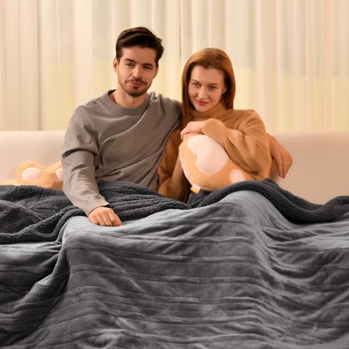 Bearhug Electric Blanket Twin Size, 90°F-108°F Fast Heating Throw with 10 Heat Levels & 1-12H Auto Shut-Off, Machine Washable Soft Velvet and Sherpa Heated Blanket for Bed or Couch, Gray - color: Gray-velvet & Sherpa, size: Twin Size 62" × 84"