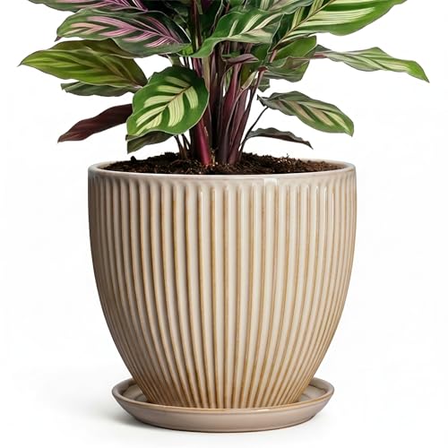Ceramic Plant Pot, 6 Inch Succulent Pots with Drainage Hole and Saucer, Decorative Pot for Indoor Plants, Modern Indoor Flower Pots, Round Planter, Bedroom Decor, Plant Lover Gifts, Beige - size: 6 Inch, style: Beige