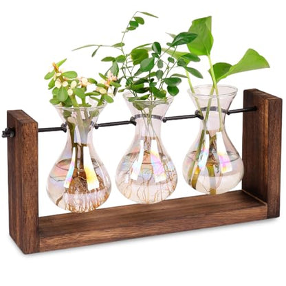 Propagation Stations Iridescent Plant Propagation Station, 3Pcs Gradient Bulb Vase with Wooden Stand Tabletop Plant Terrarium for Hydroponics Home Office Garden Decor|Terrariums
