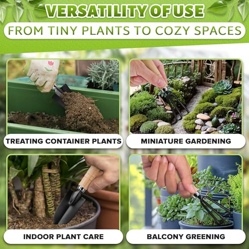 Mini Garden Tools for House Plants, Mini Shovel, Trowel & Hand Rake | Small Garden Tools for Potted Plants, Bonsai and Succulents; Rust-Resistant Heads; Wood Handles; Repotting and Soil Loosening