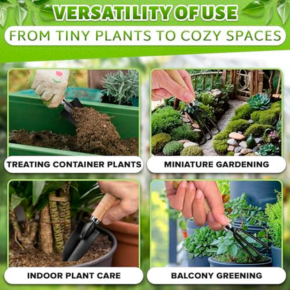 Mini Garden Tools for House Plants, Mini Shovel, Trowel & Hand Rake | Small Garden Tools for Potted Plants, Bonsai and Succulents; Rust-Resistant Heads; Wood Handles; Repotting and Soil Loosening