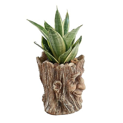 Funny Planter Head Face Plant Pot with Drainage Hole Resin Succulent Plant Holder Pencil Holder Desk Organizer Office Garden Gift (Smile Face)