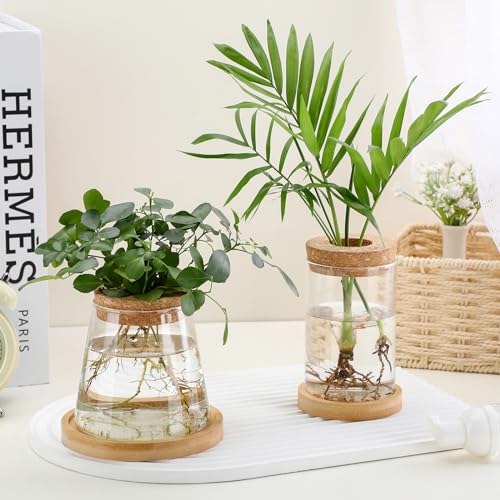 Layhit 4 Pcs Plants Propagation Stations vases Glass Planters with Wooden Lid and Bamboo Stand for Hydroponic Plants Gardening Gifts for Women Mom Home Office Tabletop Decoration(Stylish Style) - style: Stylish Style