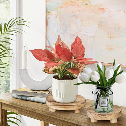 3 pcs Wooden Stool Display Stand, Round Plant Stand, Farmhouse Indoor Small Plant Stand Round Display Stand Wood-Flower Pot Supports Plant for Indoor Outdoor Home, GardenPatio Decorative