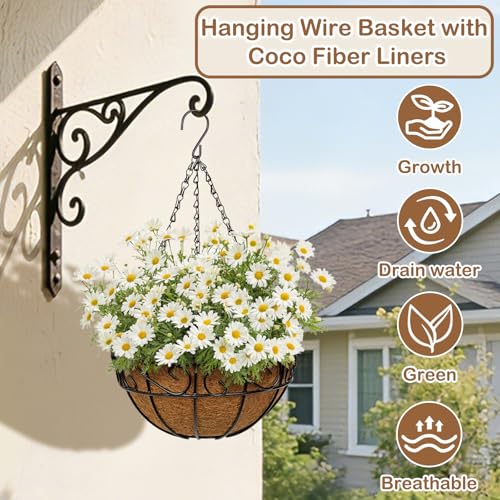 2 Pack 10 inch Metal Hanging Baskets for Plants, Round Metal Wire Hanging Basket Planter with Coco Fiber Liners Chain for Garden Home Porch Patio, Flower Border - size: 10" x 2 Pack, style: Flower Border