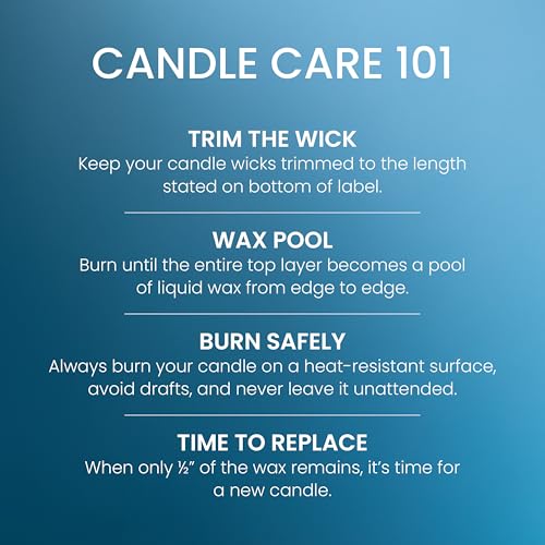 Yankee Candle Beach Escape Scented Candle, 22oz Large Jar with up to 150 Hour Burn Time, Giftable - color: Beach Escape, size: 22 oz