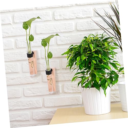 Happyyami Hanging Hydroponic Planter Set Air Plant Wall Holder Indoor Plant Vase Wall Mount Propagation Station
