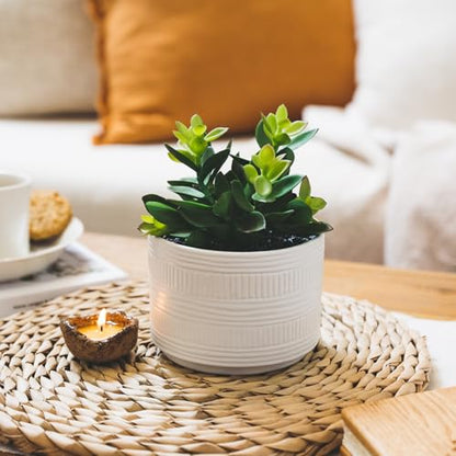 Kurrajong Farmhouse Artificial Plant in White Ceramic Pot | 7.5" Fake Plant for Desk Decor | Artificial Succulent in Pot | Fake Succulent | Faux Plant for Shelf Decor