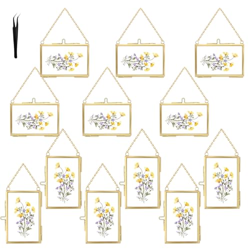 12 Pcs Double Glass Frame for Pressed Flowers,Floating Hanging Photo Christmas Ornaments Frame Brass Frames with Chain for Wall Display Gallery Artwork,Clear Vertical Horizontal Display for Botanical Art,Picture,Stamps,Gallery Decor,Gold - color: Gold-12