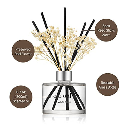 COCODOR Reed Diffuser Set with Preserved Baby's Breath with Sticks/April Breeze / 6.7oz / Scent Fragrance Oil Diffuser for Bedroom Bathroom Home Decor - size: Real Flower/6.7Ounce/1Pack