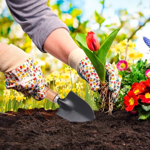 VILLCASE 10pcs Succulent Planting Hand Tools Set with Transplanting Trowel, Tweezers, Spray Bottle, and Brush for Mini Potted Plants Gardening and Bonsai Care