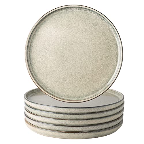 AmorArc Ceramic Plates Set of 6, 8.5 Inch Stoneware Small Plates Set | Reactive Glaze Dishes for Kitchen Dessert, Salad, Appetizer, Dinner, Microwave & Dishwasher Safe, Scratch Resistant Dishware - color: Reactive Glaze, size: 8.5 inch