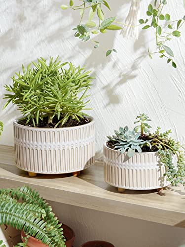 LE TAUCI Succulent Planters, 6.5+8 Inch Ceramic Indoor Plant Pot with Drainage Hole, Shallow Round Succulent Pots, Set of 2, Reactive Glaze White - color: Reactive Glaze White
