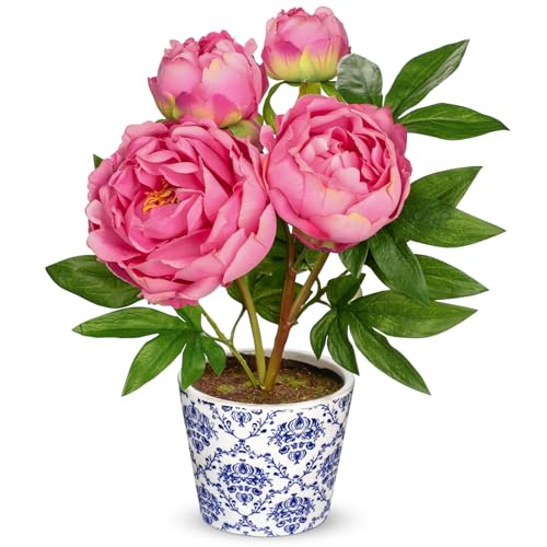 Briful Faux Peony Flowers in Blue and White Ceramic Pot – 13.8" Realistic Silk Peonies Artificial Peony Floral Arrangement Fake Potted Peony Flowers for Home Office Room Desk Shelf Decoration(Pink) - color: Pink