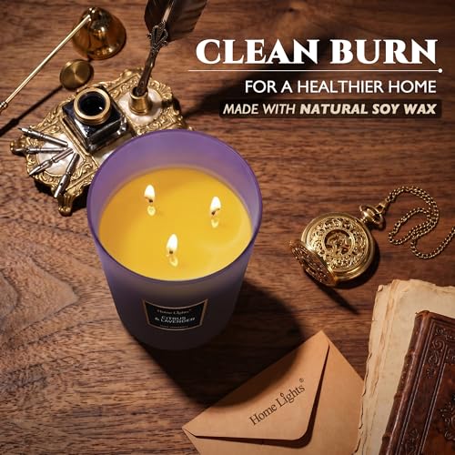 HomeLights Scented Candles - Large Jar Aromatherapy, Natural Soy Wax, 130 Hour Long Burning, Citrus & Lavender - color: Citrus & Lavender