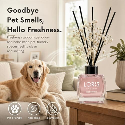 Loris Citrus & Lavender Reed Diffuser Set with Dried Flowers | Reed Diffusers for Home with Sticks | Bathroom Diffuser & Room Scent | Long-Lasting Home Fragrance | 120 mL / 4.06 fl oz - color: Citrus & Lavender