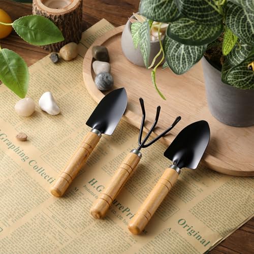 72 Pcs Mini Gardening Tools Kit with Small Trowel Mini Shovel & Hand Rake Rust Resistant Iron Succulent Tools with Wood Handle for Bonsai, Pot Plant, Seedlings, Herbs, Terrariums and Planting