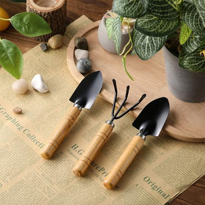 72 Pcs Mini Gardening Tools Kit with Small Trowel Mini Shovel & Hand Rake Rust Resistant Iron Succulent Tools with Wood Handle for Bonsai, Pot Plant, Seedlings, Herbs, Terrariums and Planting