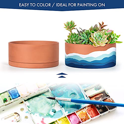 D'vine Dev Terracotta Shallow Planter Pot with Saucer, 10 in, 40-Y-B-0 | Wide Bowl Design, Unglazed Terracotta, Porous & Breathable, Minimalist Style, Ideal for Succulent Arrangements - size: 10 Inch