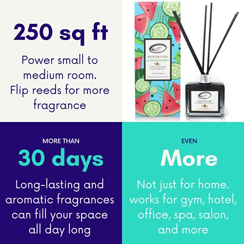 Air Jungles Summer Passion Fragrances Reed Diffuser Set with Sticks, Watermelon and Lime Scent Incense Oil, Air Freshener for Home, Office, Gym, and Room Diffuser, 3.4 fl. oz - color: Summer Passion, size: 100ml