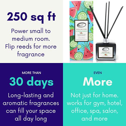 Air Jungles Summer Passion Fragrances Reed Diffuser Set with Sticks, Watermelon and Lime Scent Incense Oil, Air Freshener for Home, Office, Gym, and Room Diffuser, 3.4 fl. oz - color: Summer Passion, size: 100ml