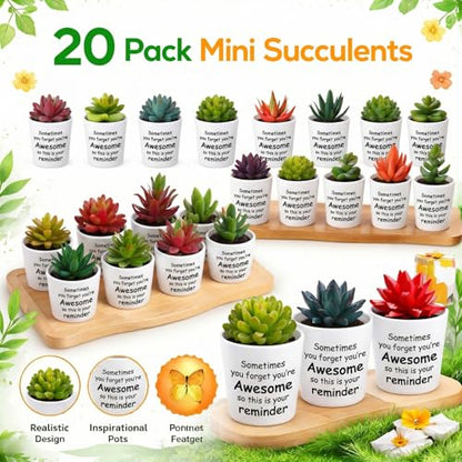 24 Set Mini Fake Succulents in Pots Back to School Gifts Plastic Artificial Faux Plants for Students Teachers Classmates Dorm Decor Study Desk Accessories