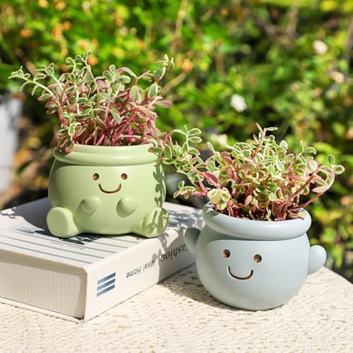 Cute Face Planter Pot, Small Resin Head Planters for Indoor Plants, Funny Smiling Face Flower Pot Succulent Planter with Drainage Hole, Gift IdeaI for Birthday Christmas (Green) - color: Green