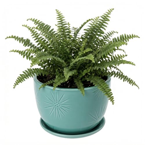 MyGift 7-Inch Turquoise Ceramic Planter Pot with Drainage Hole & Saucer | Round Embossed Sunburst Container for Indoor Plants, Succulents, Cactus, Herbs & Flowers with Attached Saucer - color: Turquoise