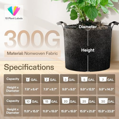 VIVOSUN 10-Pack 3 Gallon Plant Grow Bags Heavy Duty Thickened Nonwoven Fabric Pots with Handles - color: Black, size: 3 Gallons (Pack of 2)