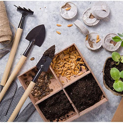 14Pcs Mini Bonsai Tools Set Gardening Transplanting Tools Succulent Plant Tools Set for Shovel Operation Convenient Indoor and Outdoor Small Fairyland Garden Plant Care