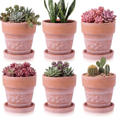Set of 6 Embossed Succulent Pots 4" Small Terracotta Pots with Drainage Hole and Saucer Rustic Clay Succulent Planter Pot Decorative Ceramic Cactu Flower Pot for Indoor Outdoor(Leaf Style) - size: 4 Inch, style: Leaf Style