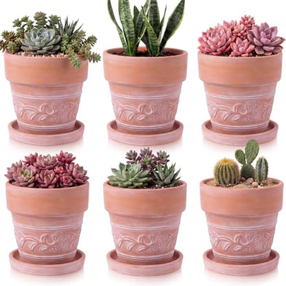 Set of 6 Embossed Succulent Pots 4" Small Terracotta Pots with Drainage Hole and Saucer Rustic Clay Succulent Planter Pot Decorative Ceramic Cactu Flower Pot for Indoor Outdoor(Leaf Style) - size: 4 Inch, style: Leaf Style