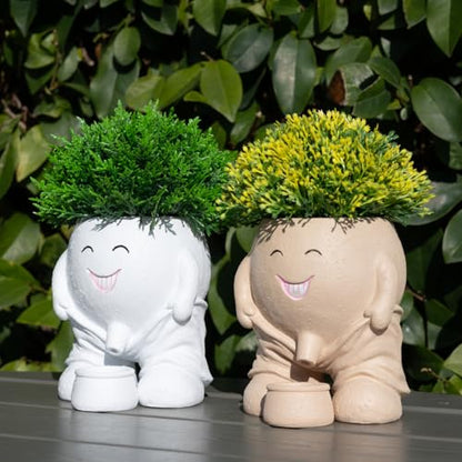 Funny Planters Smiley Face Planter Pot with Drainage Hole, Cute Resin Succulent Plant Pots, Unique Novelty Cute Cactus Face Pots for Office Desk Plant Pots Gift White - color: White-a