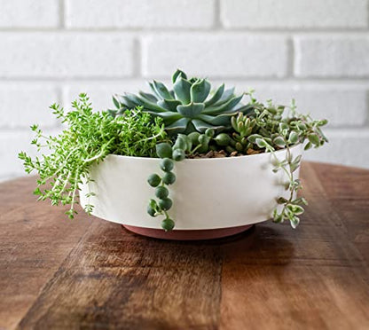 The HC Companies 6 Inch Round Plastic Succulent Capri Bowl 6"x6"x2.25" in Vanilla Bisque with Copper Bottom Color - color: Vanilla Bisque, size: 6"