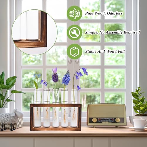 Tigvio 2pcs Desktop Glass Plant Propagation Station (10 Tubes) | with 10 Test Tubes in Wooden Stand, Hydroponic Plants Cutting Office Home Decoration and Garden Decor Terrarium - size: 10 Tubes