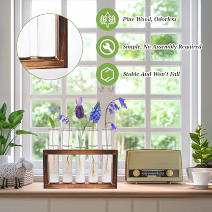 Tigvio 2pcs Desktop Glass Plant Propagation Station (10 Tubes) | with 10 Test Tubes in Wooden Stand, Hydroponic Plants Cutting Office Home Decoration and Garden Decor Terrarium - size: 10 Tubes