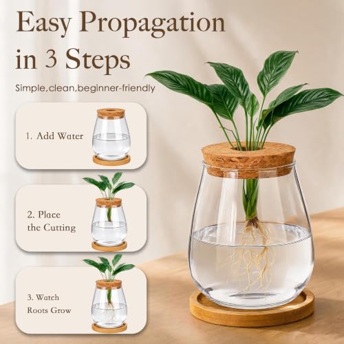 6 Pcs Plant Propagation Station Set, Glass Propagation Vases for Plants with Wooden Lids & Bamboo Stands, Hydroponic Vase Jars for Plant Cuttings, Terrarium Planters for Desk, Home Office Decor