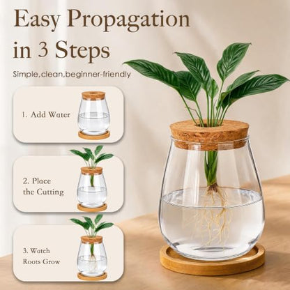 6 Pcs Plant Propagation Station Set, Glass Propagation Vases for Plants with Wooden Lids & Bamboo Stands, Hydroponic Vase Jars for Plant Cuttings, Terrarium Planters for Desk, Home Office Decor