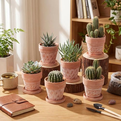 Set of 6 Embossed Succulent Pots 4" Small Terracotta Pots with Drainage Hole Saucer Mini Rustic Clay Succulent Planter Pot Decorative Ceramic Cactu Flower Pot for Indoor Outdoor(Lattice Leaf) - size: 4 Inch, style: Lattice and Leaf